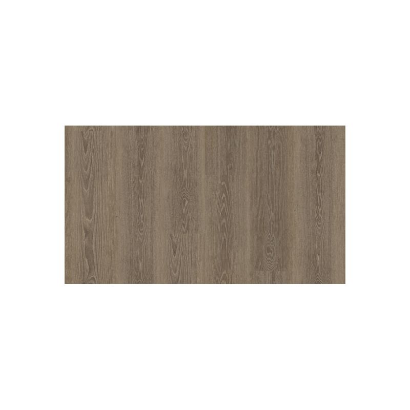 Tribe Oak Mocha