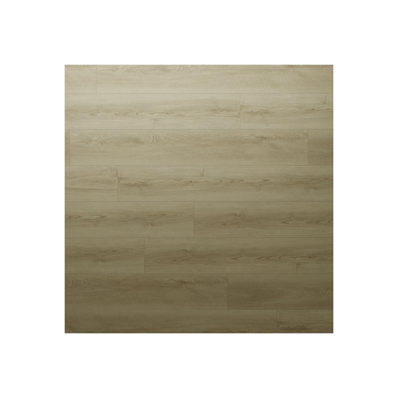 Panele winylowe FirmFit Original Plank Sado kolor jasny